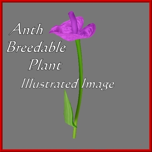 {Papillon} En/Sma/Nor/Ees/+ Plant