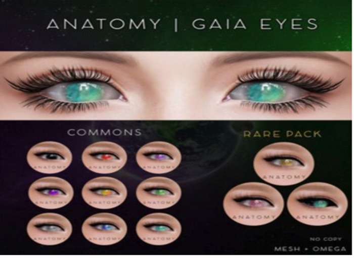 ANATOMY - GAIA EYES - COMMON TUNDRA