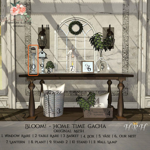 10. Bloom! - Home time Stand1 Box