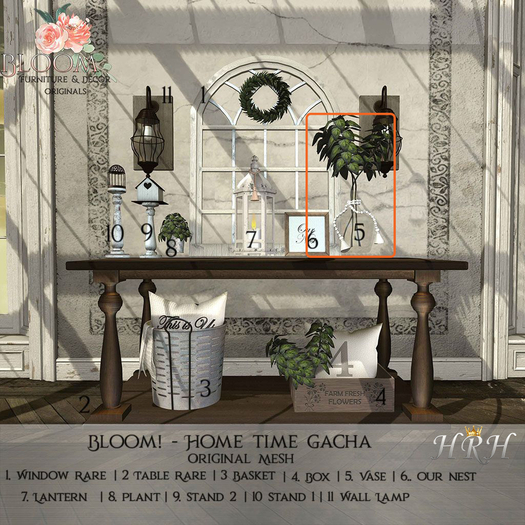 5. Bloom! - Home time Vase Box