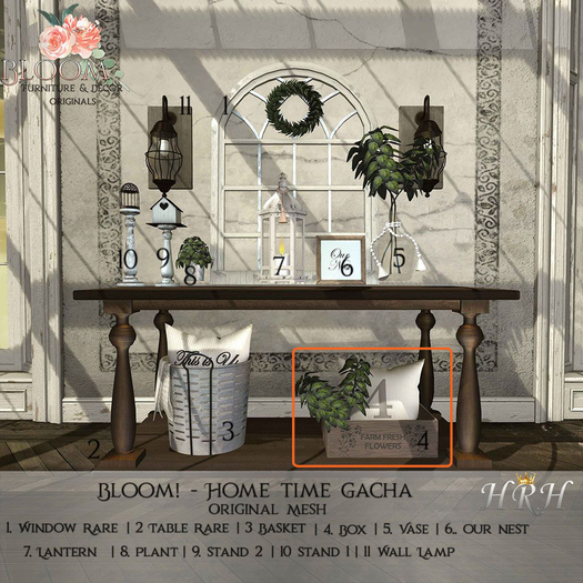 4. Bloom! - Home time Box