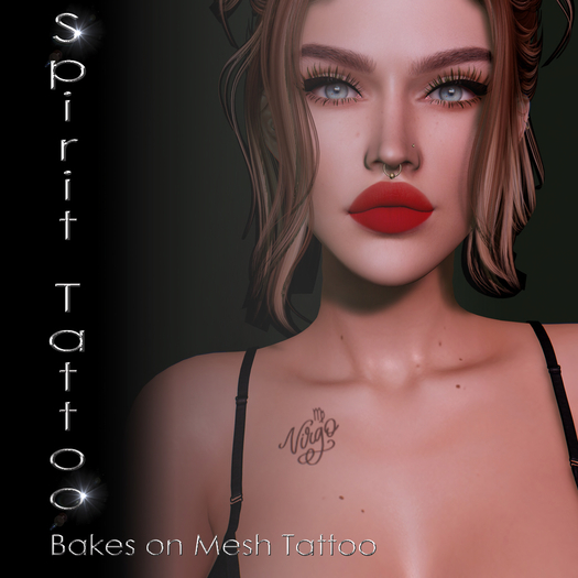SPT-Virgo zodiac