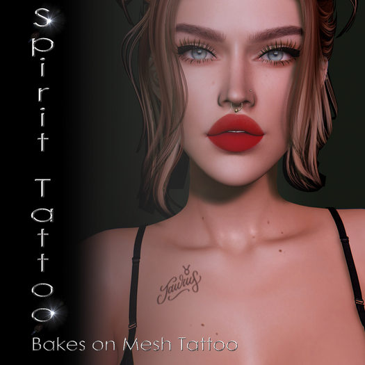 SPT-Taurus zodiac