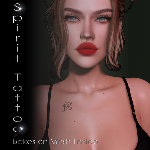 SPT-Leo zodiac