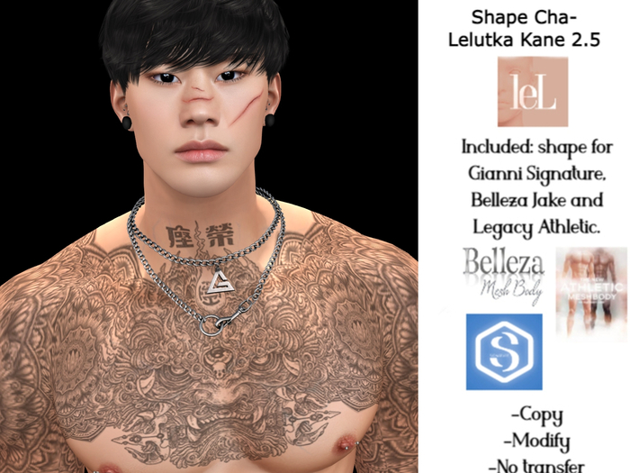 SHAPE CHA-LELUTKA KANE 2.5
