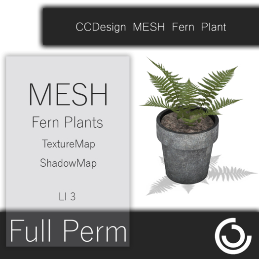 CCD MESH Fern Plant