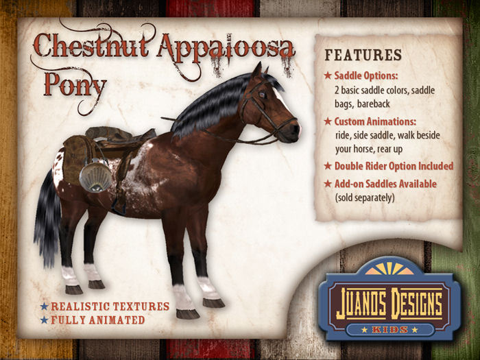 Juanos Chestnut Appaloosa Pony