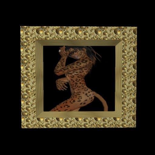 FRAME Jezzy Writer Gold bubble boxed Picture Frame