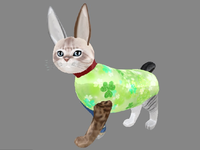 KittyCatS Box - Foolin' CaBBits