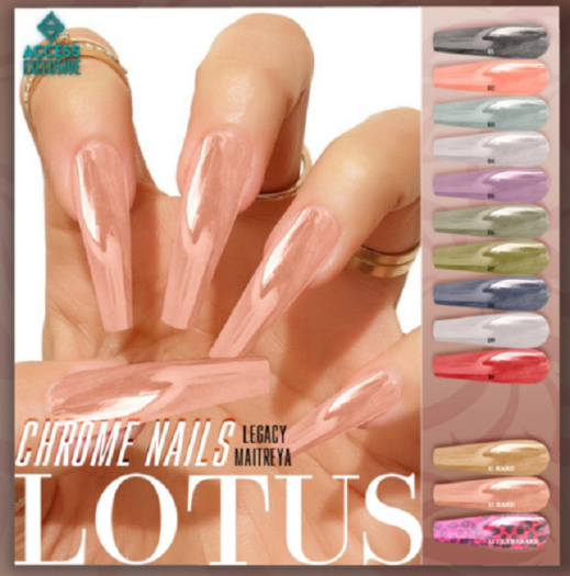LOTUS. Chrome Nails 08 BOX