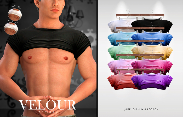 VELOUR APPAREL: "Ryan" Crop Top (FATPACK)