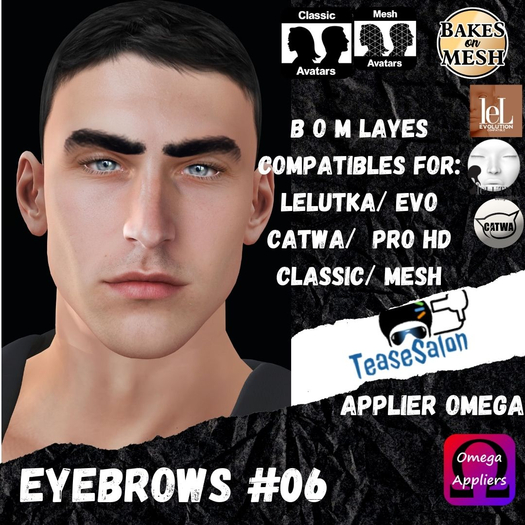 #TS#  Eyebrows #06 BOM - Lel Evo/Catwa HD Pro/ Classic