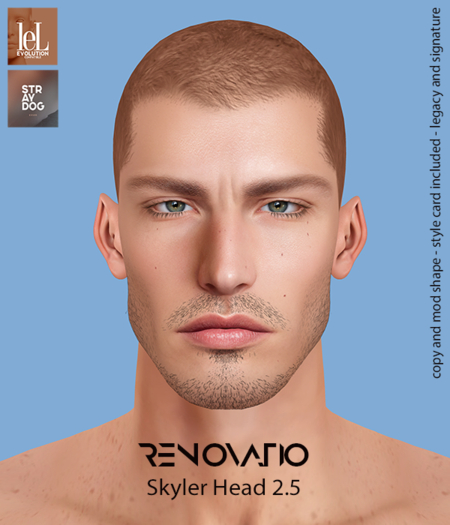 RENOVATIO Evo Miguel Shape 