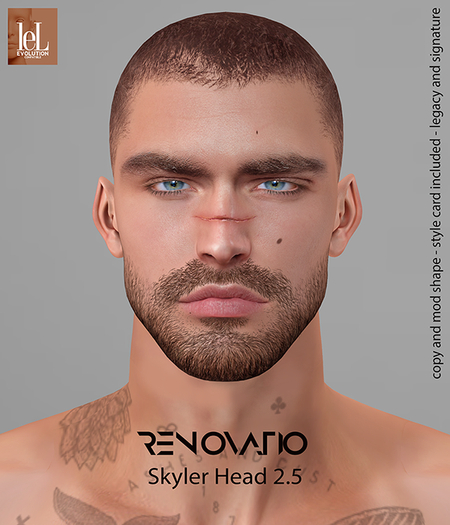 RENOVATIO Evo Enzo Shape 