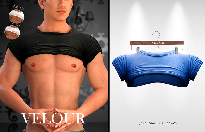 VELOUR APPAREL: "Ryan" Crop Top (Blue)