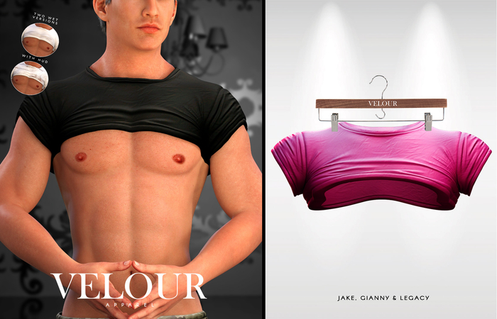 VELOUR APPAREL: "Ryan" Crop Top (Pink)