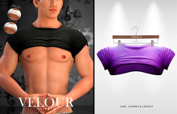 VELOUR APPAREL: "Ryan" Crop Top (Purple)