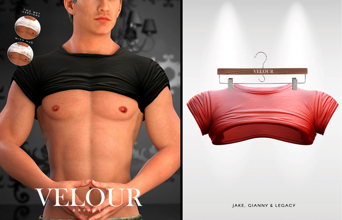 VELOUR APPAREL: "Ryan" Crop Top (Red)
