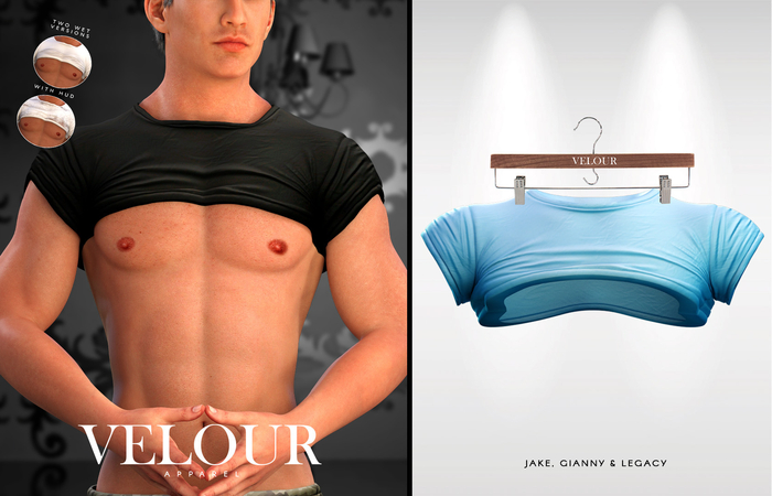 VELOUR APPAREL: "Ryan" Crop Top (Sky)