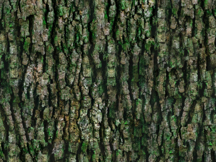 Gift Full Perm Seamless 3D Bark 1 Materials Texture