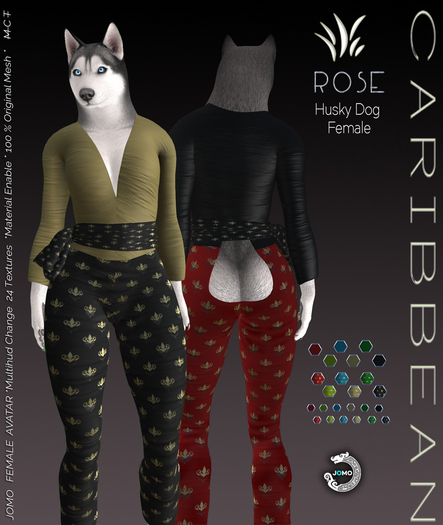 JOMO ROSE For Husky  Female (BOX WEAR ME)