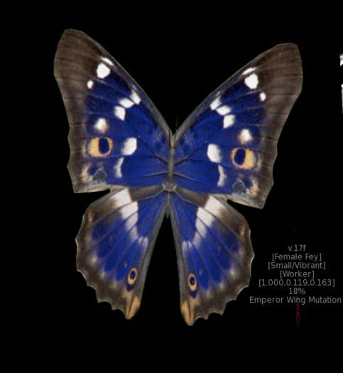 {Papillon} Fe/Sma/Vib/Fey/Worker/Emperor Cocoon