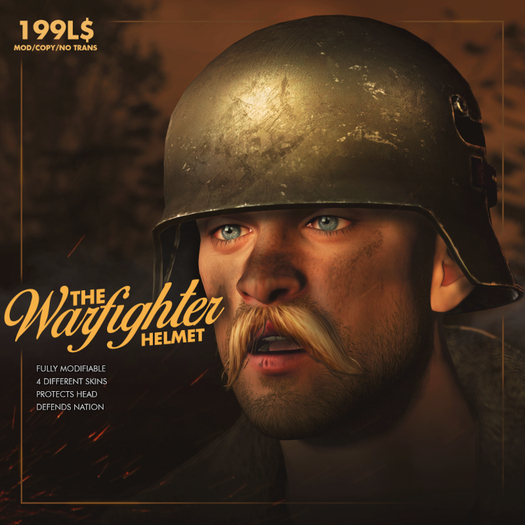 Warfighter's Helmet 