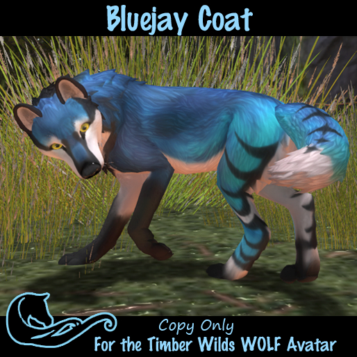 TWI Wolf Coat- Bluejay