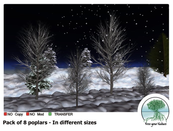 Box Karukera Pack of 8 Poplars, different sizes