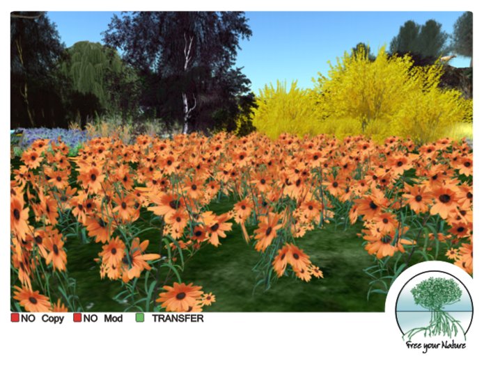  Karukera - patch pale orange daisies -