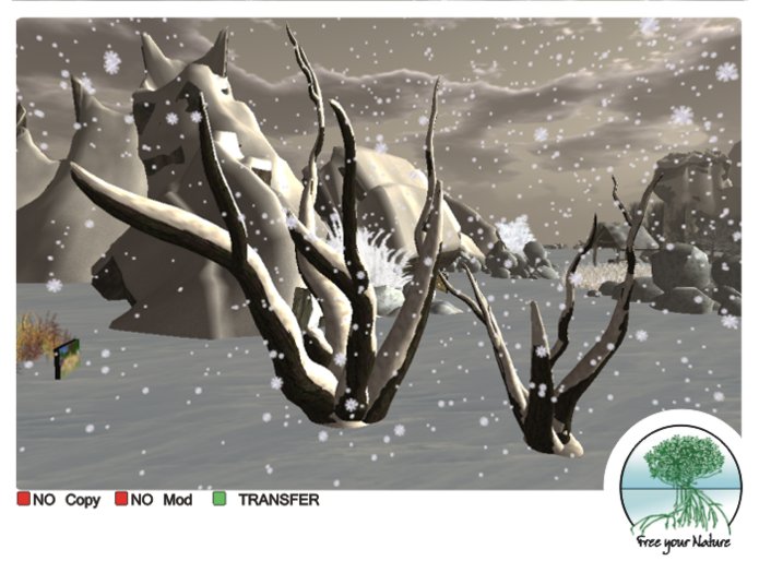 FYN - Esperanza - Snowy trees