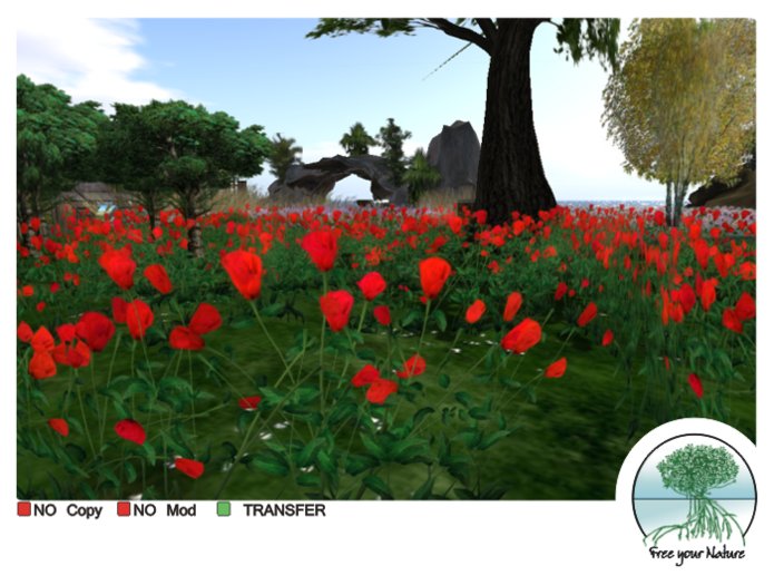 Box poppies v12 flexy ad