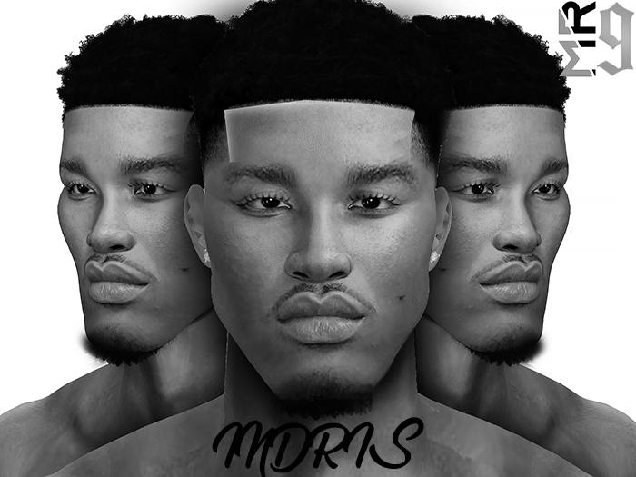 Idris Demo