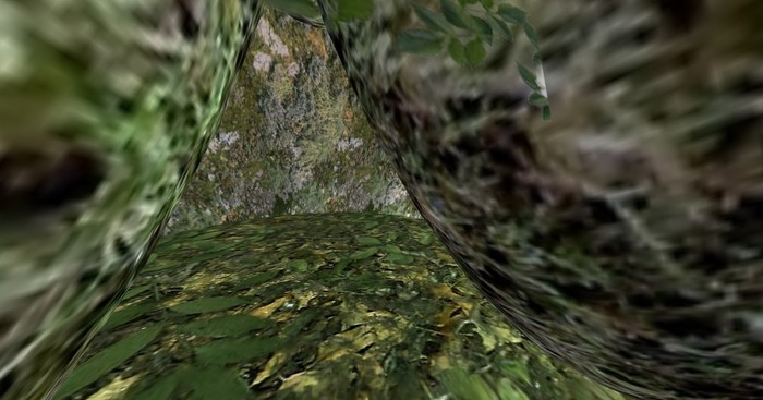 Forest Cave