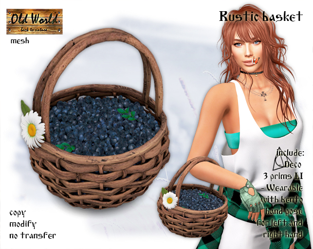 Blueberry basket v1 - Old World - Medieval / Rustic