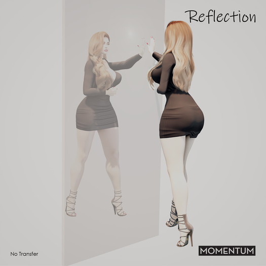 Momentum - Reflection