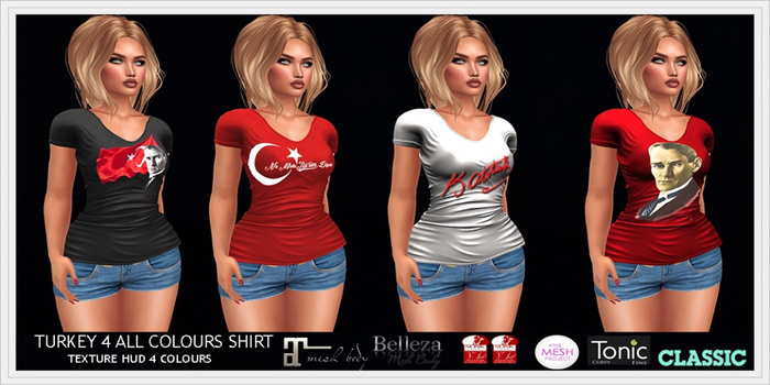 RADEX Mesh Turkey 4 All Colours Shirt