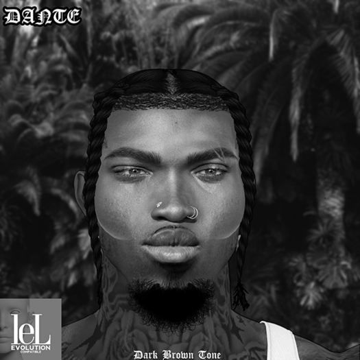 DASH - Dante Skin - Dark Brown Tone - DEMO