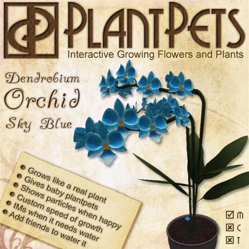 PlantPet Seed [Dendrobium Orchid *Sky Blue*]