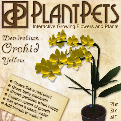 PlantPet Seed [Dendrobium Orchid *Yellow*]