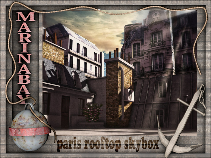 paris skybox rooftop