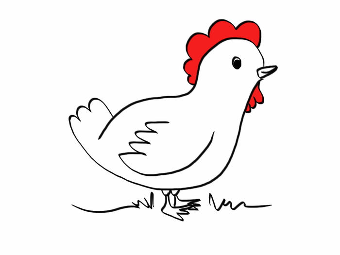 BC Chicken Handheld Full Perm