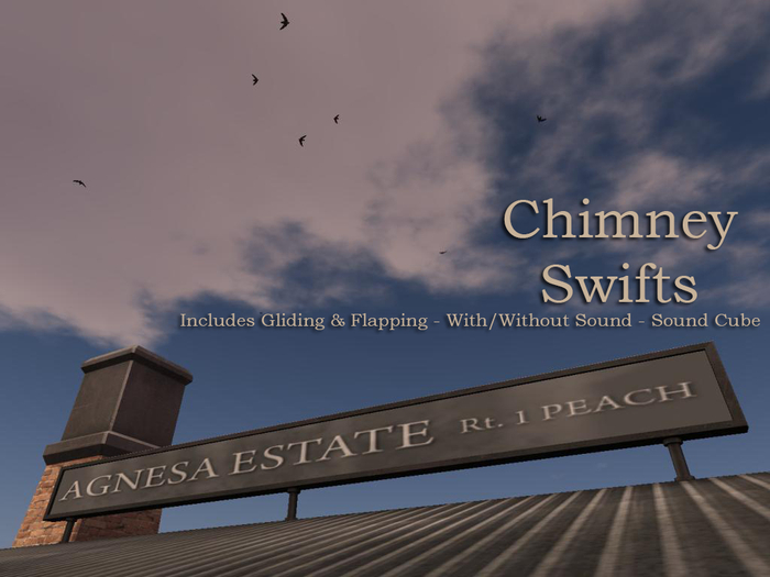 Agnesa Estate Chimney Swifts