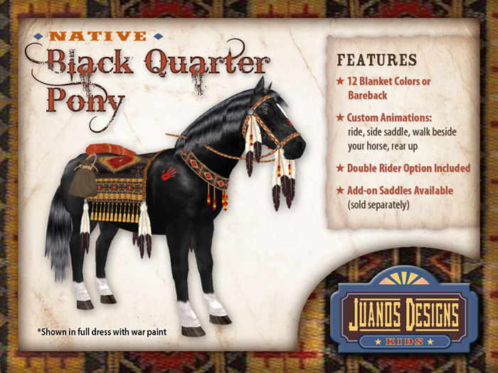 Juanos Native Black Pony