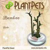 PlantPet Seed [Bamboo *Lake*] - Common - Updated