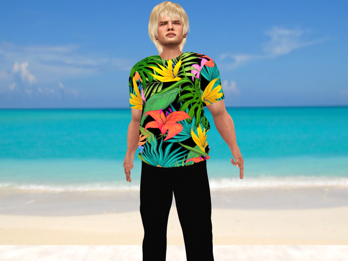 Mens' Hawaiian shirt-Tropical