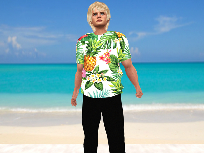 Mens' Hawaiian shirt-Pineapples