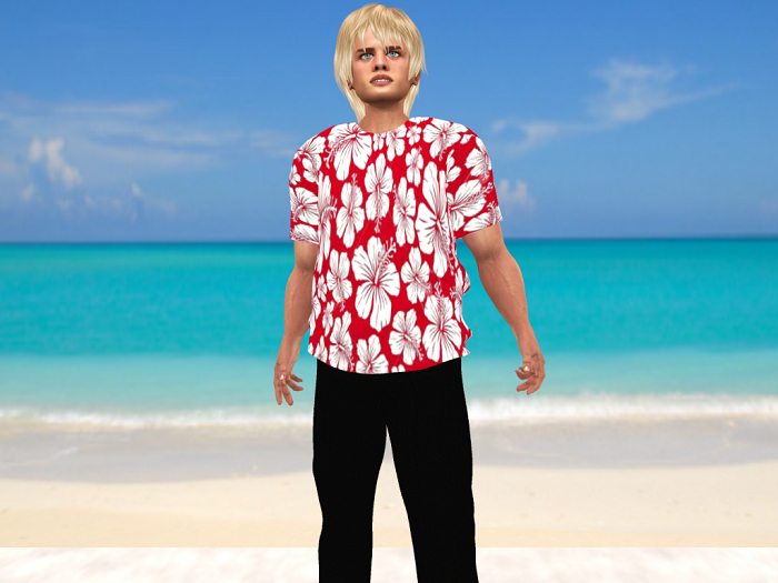 Mens' Hawaiian shirt-Floral
