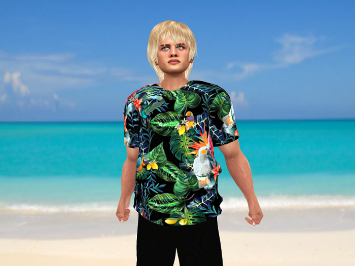Mens' Hawaiian shirt-Birds