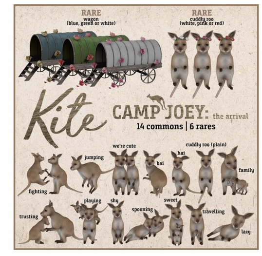 KITE - Camp Joey - Jumping